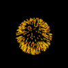 fireworks.gif (14707 bytes)