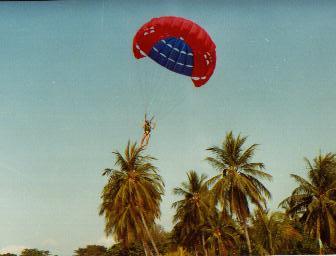 parasailing.jpg (13374 bytes)