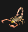 scorpion.gif (21981 bytes)